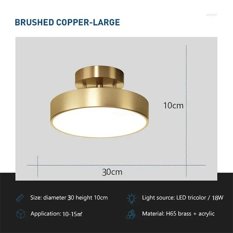 LED Ceiling Light Modern Lamp