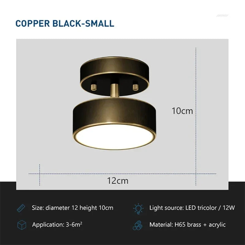 LED Ceiling Light Modern Lamp