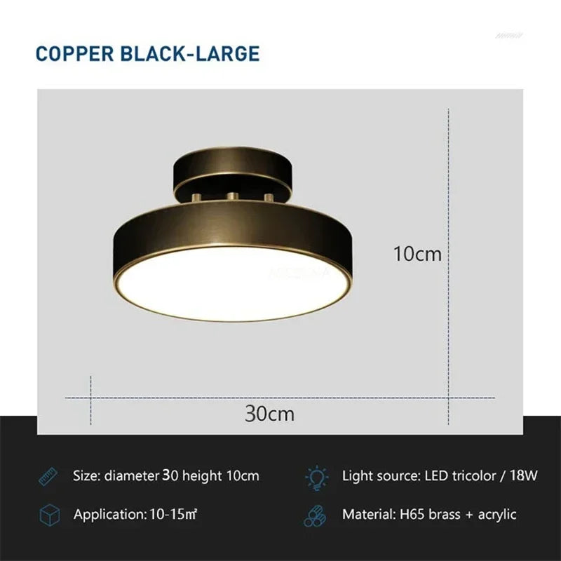 LED Ceiling Light Modern Lamp